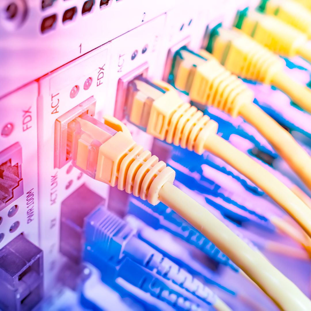 Ethernet patch cables connected to a network switch