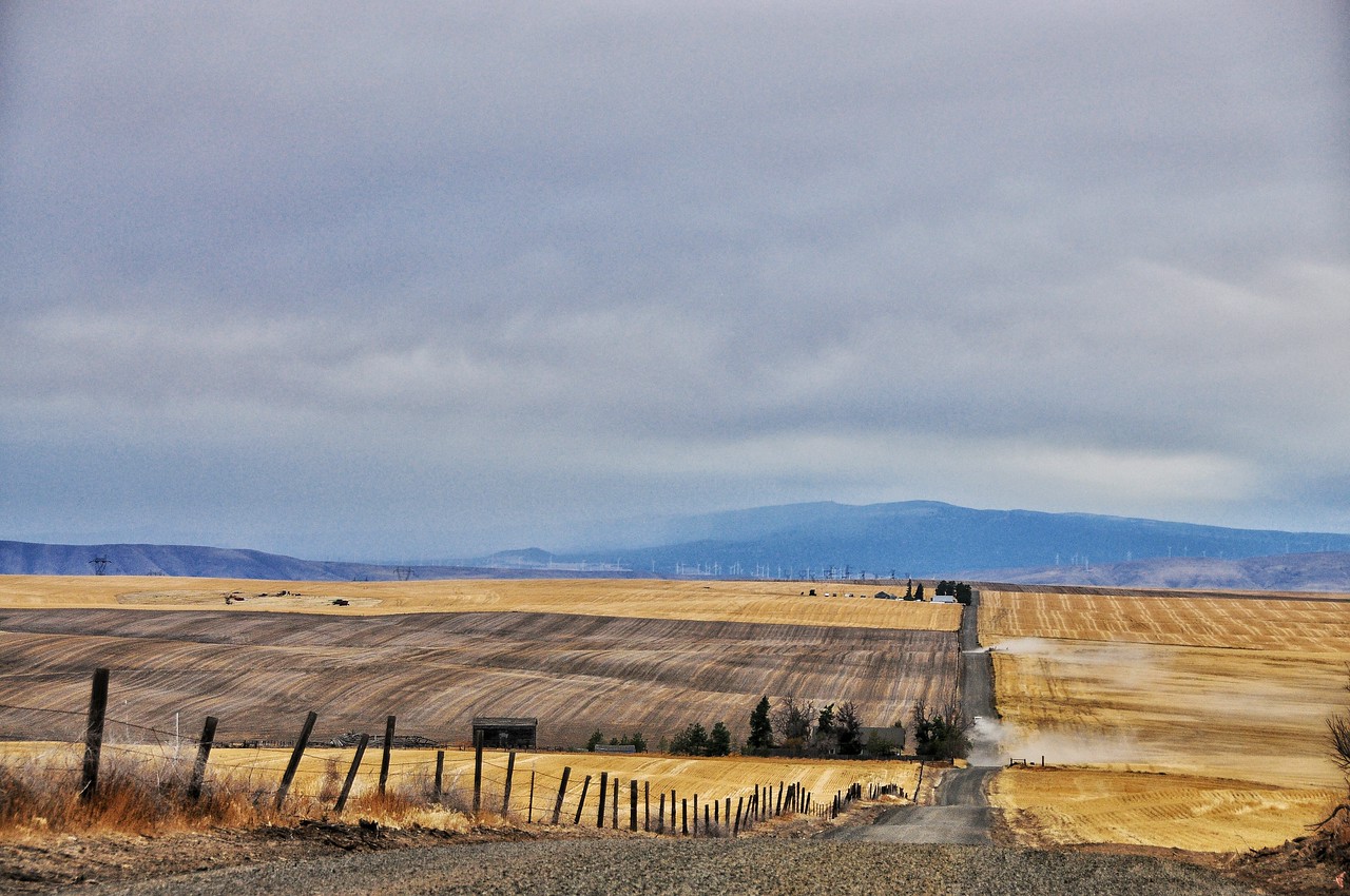 Harvested field stretching toward distant hills in Eastern Oregon